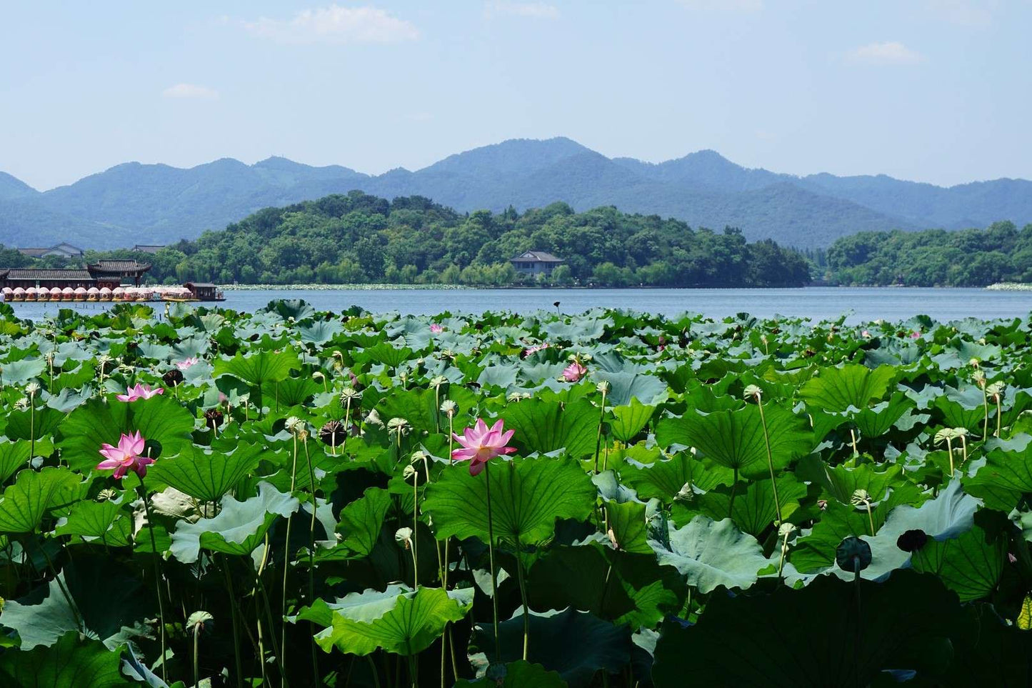 Hangzhou & Suzhou: Heaven on Earth