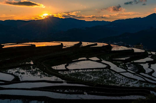 Yunnan: Honghe Hani Rice Terraces